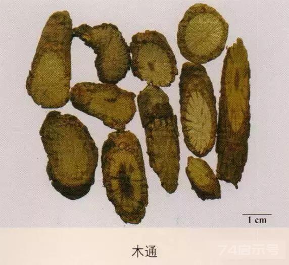 200味中药彩图谱，带图带功效，让你秒懂中药材！