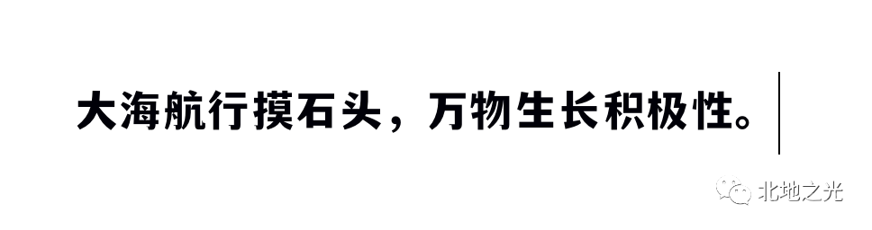 哲学一分钟｜什么是工具理性