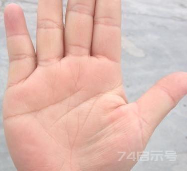 讲“手相”终极篇（二十五）