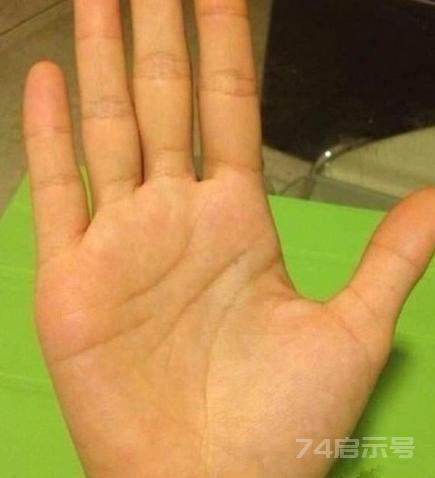 讲“手相”终极篇（二十五）