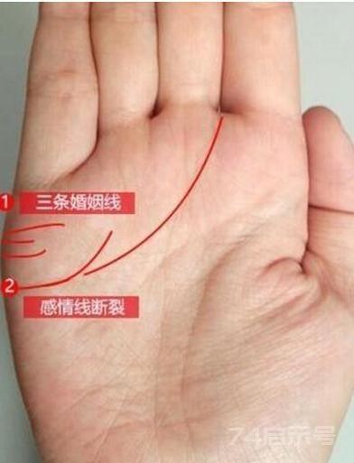 讲“手相”终极篇（二十五）