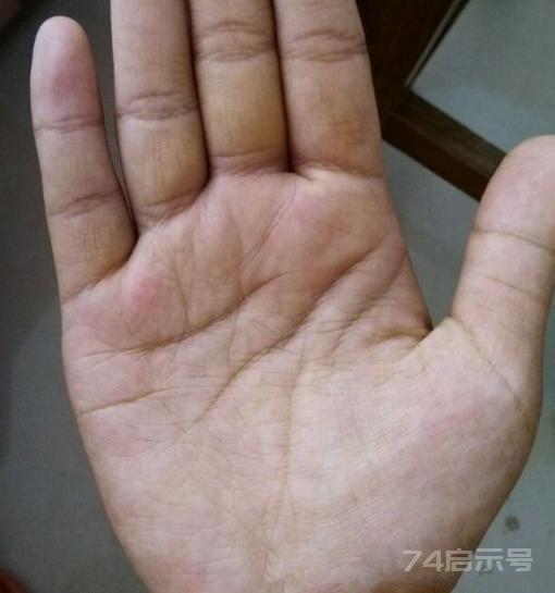 讲“手相”终极篇（二十五）