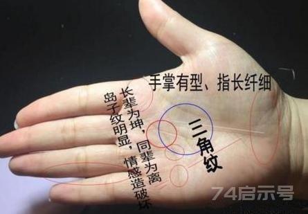 讲“手相”终极篇（二十五）