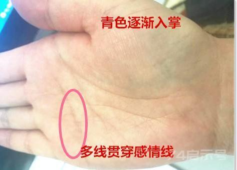 讲“手相”终极篇（二十五）