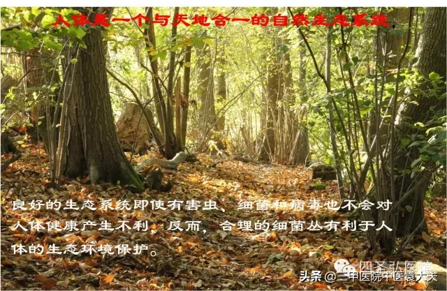 迈入中医之门第29篇：中医治病的主要思路是什么