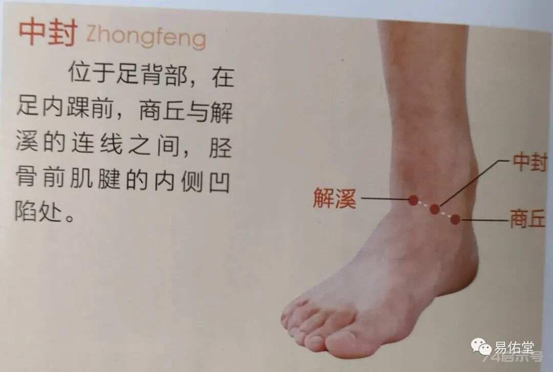 中封穴~以土封藏之穴，护肝要穴，治遗精，带下，疝气，崩漏，尿频