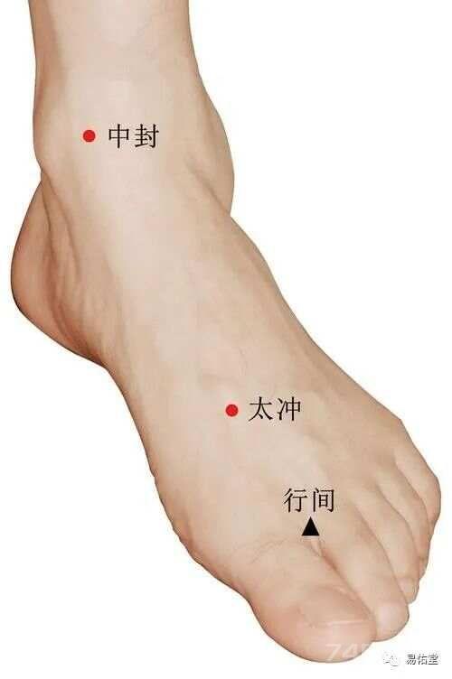 中封穴~以土封藏之穴，护肝要穴，治遗精，带下，疝气，崩漏，尿频