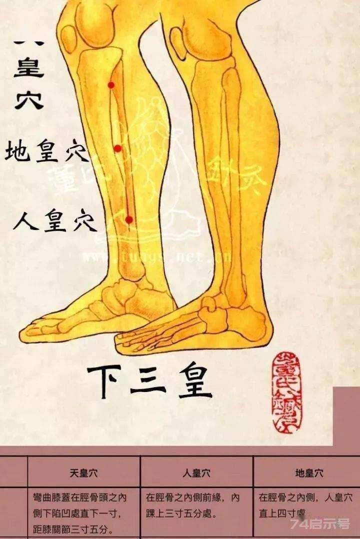 立竿见影的董氏奇穴针灸绝招