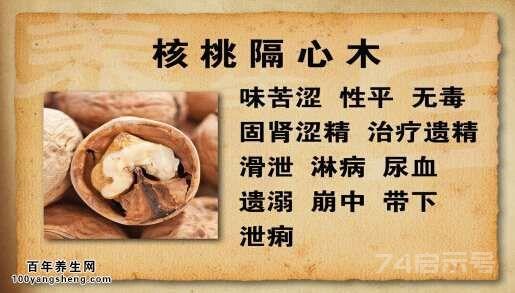 20141125养生堂视频和笔记:王玉英讲核桃的功效与作用,核桃分心木