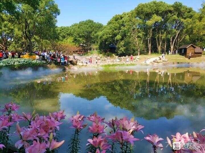 摄影：故乡的秋色（2）