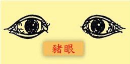 相术眼型