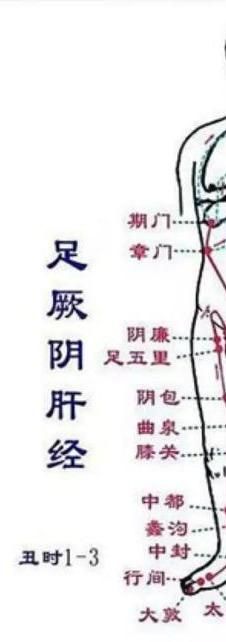 肝调理生殖：肝不好，生殖系统会亮红灯