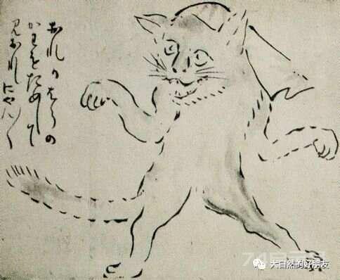 怪谈 | 日本妖猫（化け猫）的来源与“猫騒動”传说