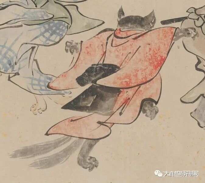 怪谈 | 日本妖猫（化け猫）的来源与“猫騒動”传说
