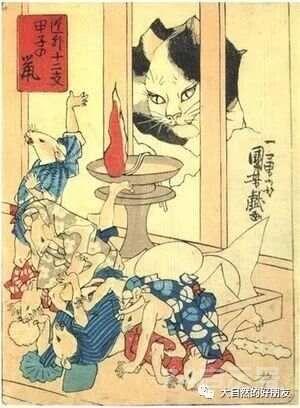 怪谈 | 日本妖猫（化け猫）的来源与“猫騒動”传说