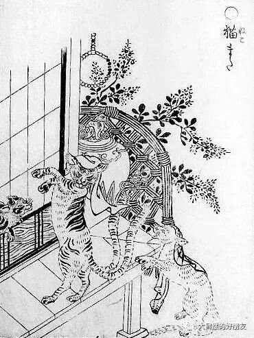 怪谈 | 日本妖猫（化け猫）的来源与“猫騒動”传说