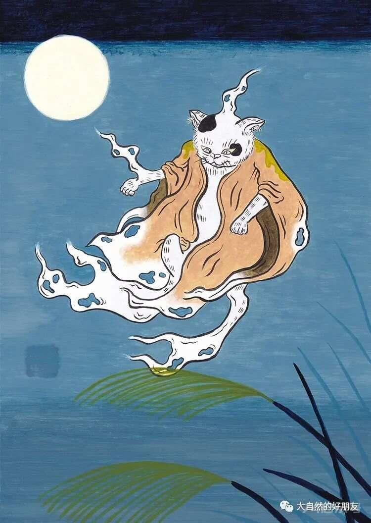 怪谈 | 日本妖猫（化け猫）的来源与“猫騒動”传说