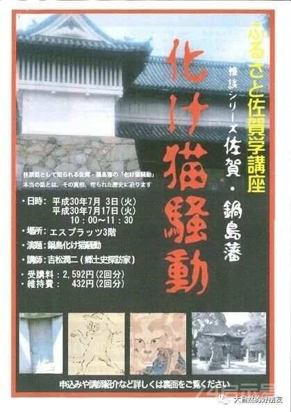 怪谈 | 日本妖猫（化け猫）的来源与“猫騒動”传说