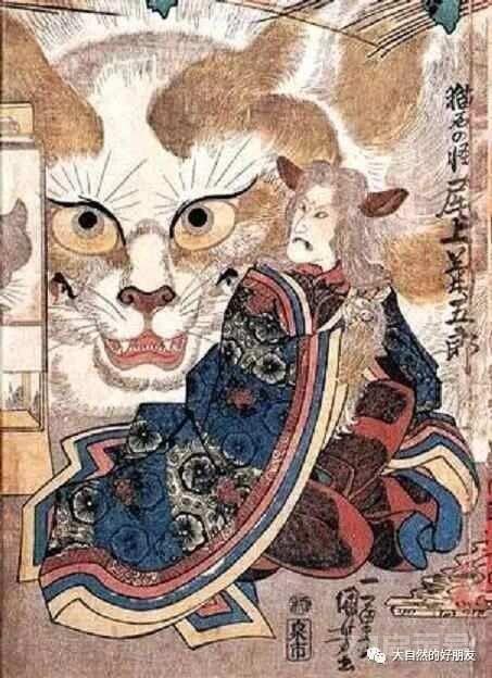 怪谈 | 日本妖猫（化け猫）的来源与“猫騒動”传说