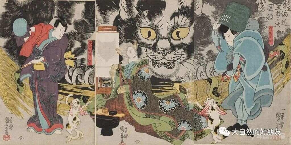 怪谈 | 日本妖猫（化け猫）的来源与“猫騒動”传说