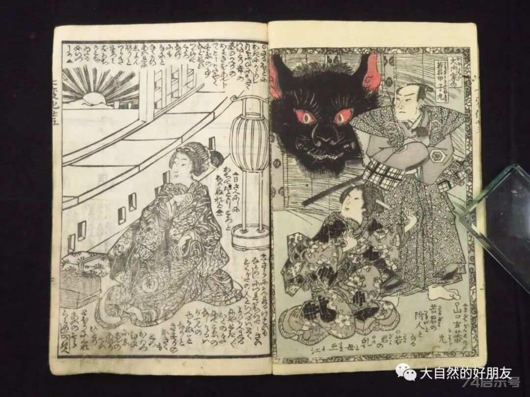 怪谈 | 日本妖猫（化け猫）的来源与“猫騒動”传说