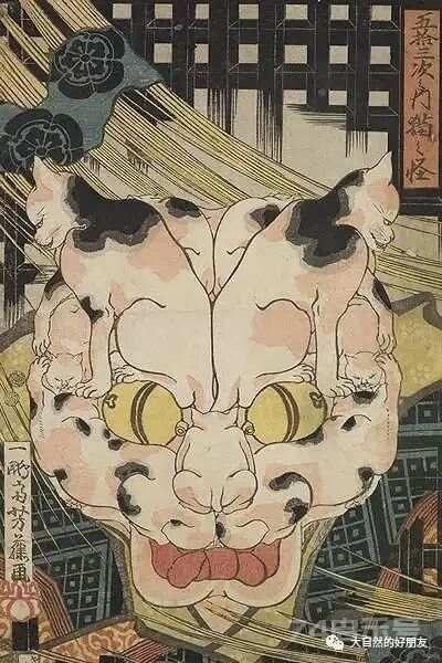 怪谈 | 日本妖猫（化け猫）的来源与“猫騒動”传说