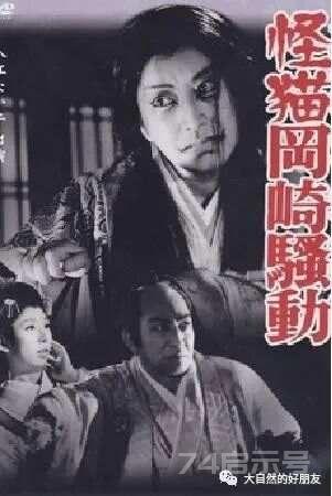 怪谈 | 日本妖猫（化け猫）的来源与“猫騒動”传说