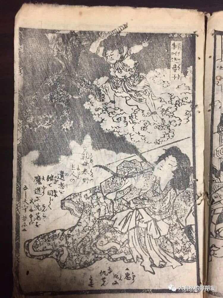 怪谈 | 日本妖猫（化け猫）的来源与“猫騒動”传说