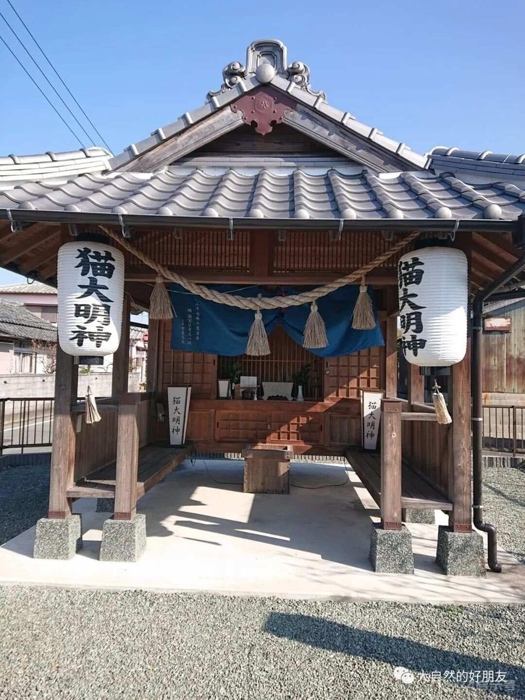 怪谈 | 日本妖猫（化け猫）的来源与“猫騒動”传说