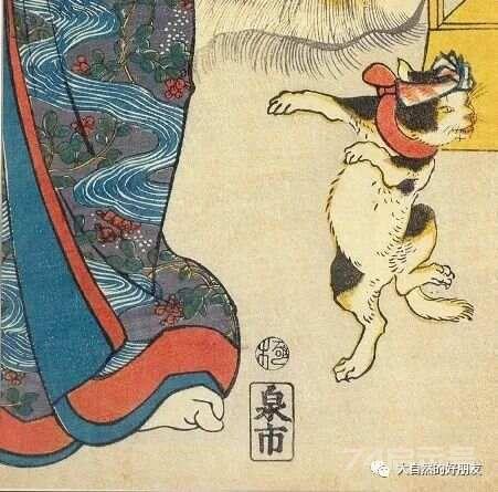 怪谈 | 日本妖猫（化け猫）的来源与“猫騒動”传说