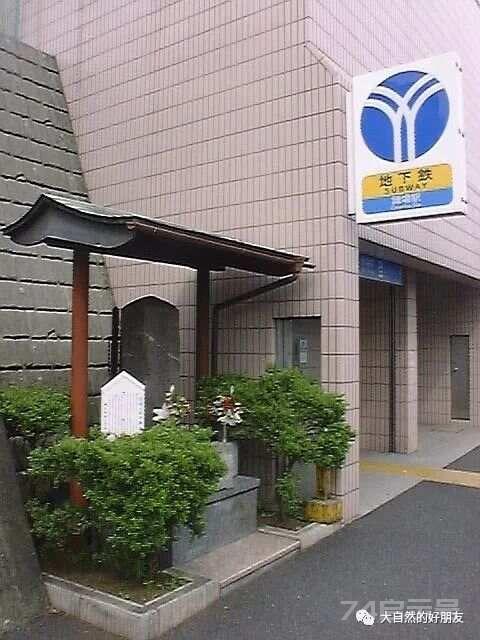 怪谈 | 日本妖猫（化け猫）的来源与“猫騒動”传说