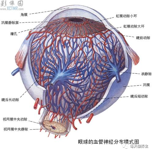 中医眼科之父—黄庭镜，治眼奇方首次公开，不吃药、不手术治好各