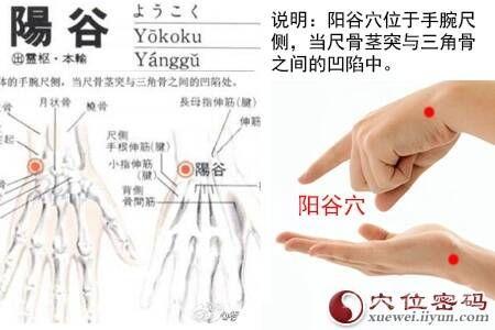 耳鸣耳聋不担忧——阳谷穴