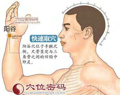 耳鸣耳聋不担忧——阳谷穴