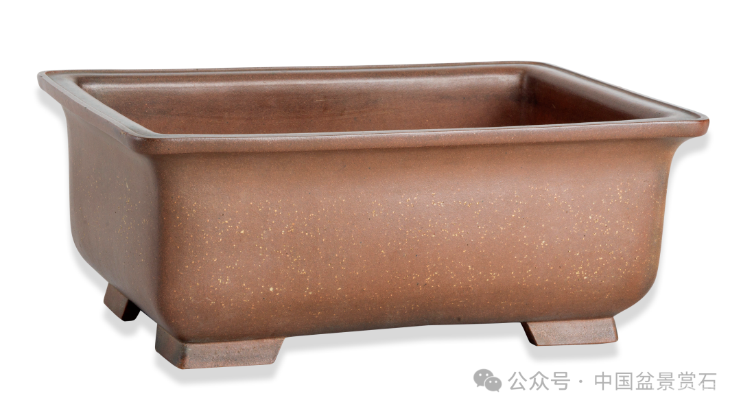 200件盆器鉴赏！古盆鉴定第一人带你玩儿转紫砂盆（二）