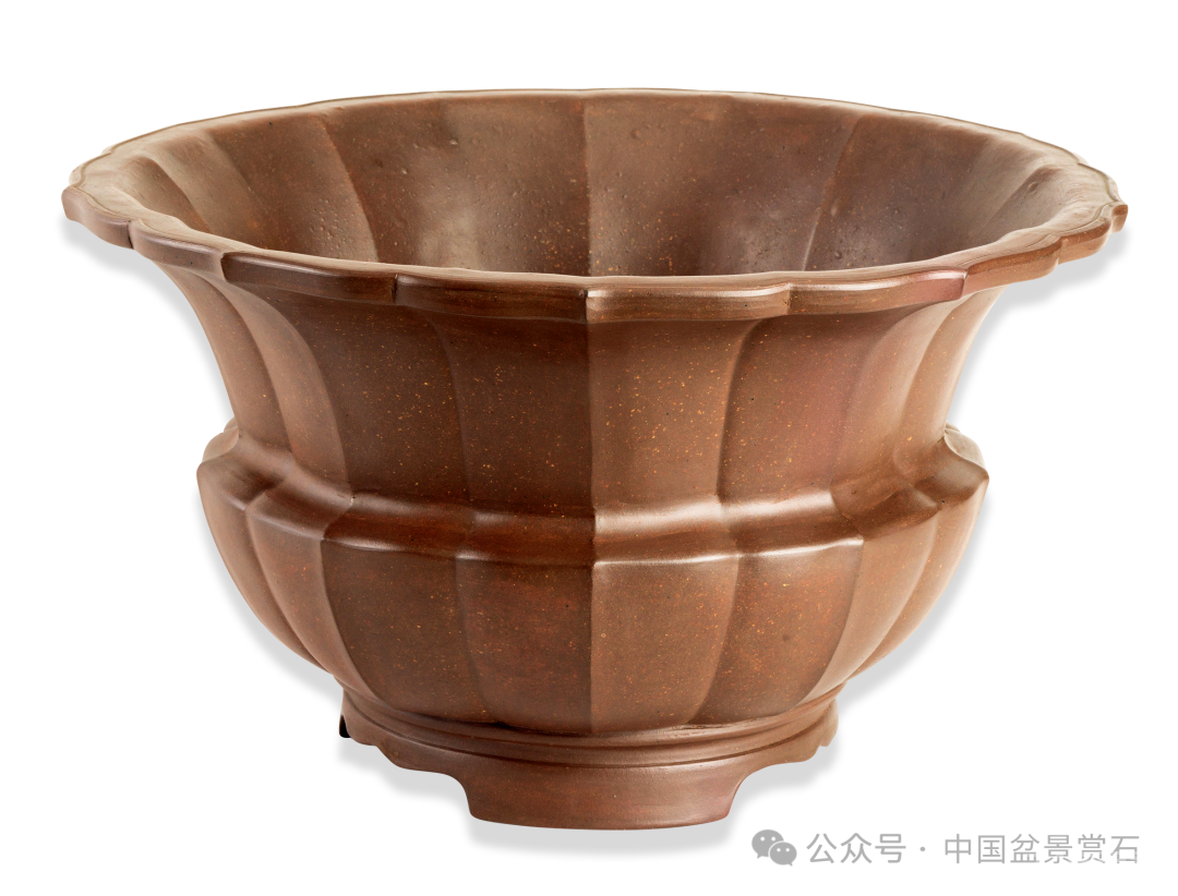 200件盆器鉴赏！古盆鉴定第一人带你玩儿转紫砂盆（二）