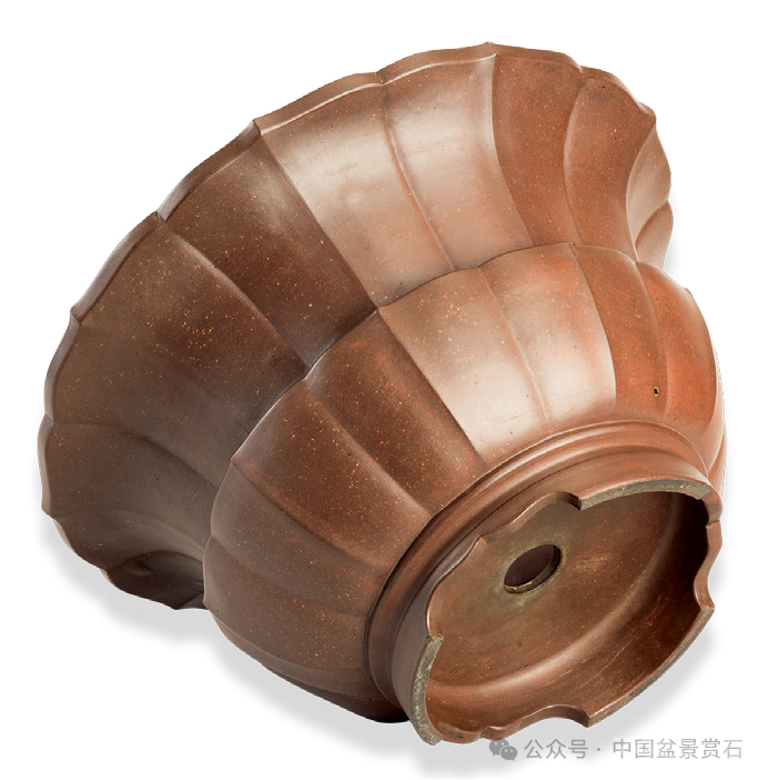 200件盆器鉴赏！古盆鉴定第一人带你玩儿转紫砂盆（二）