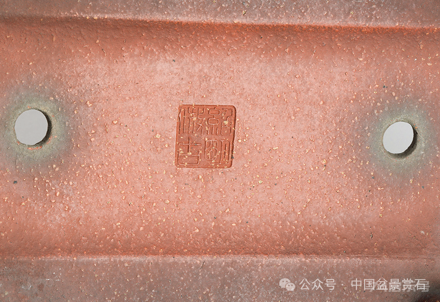 200件盆器鉴赏！古盆鉴定第一人带你玩儿转紫砂盆（二）