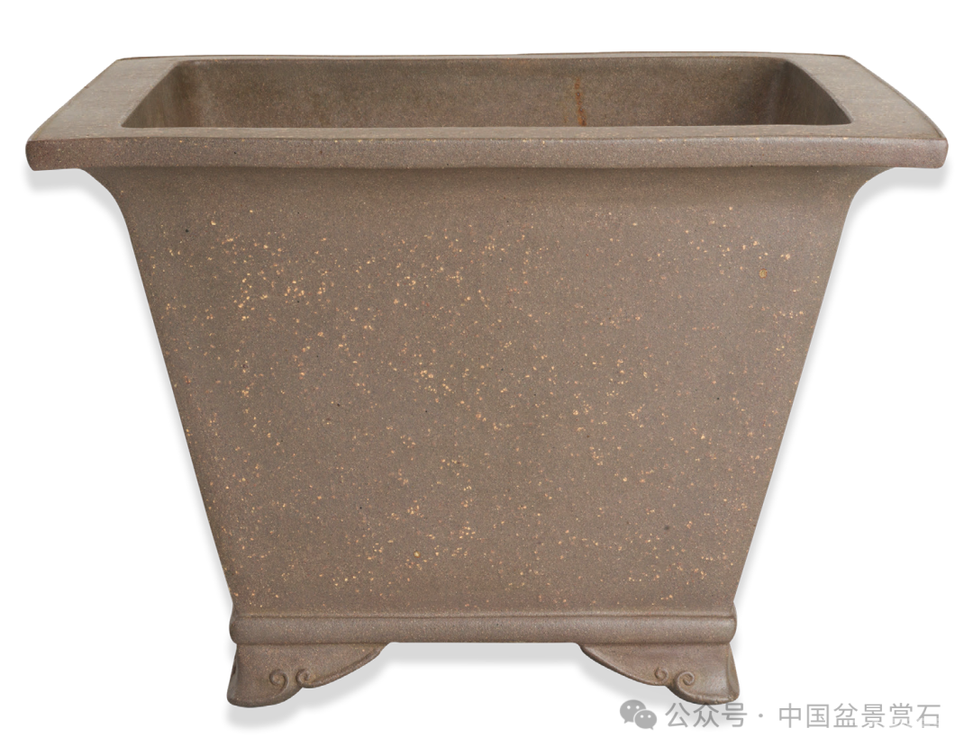 200件盆器鉴赏！古盆鉴定第一人带你玩儿转紫砂盆（二）
