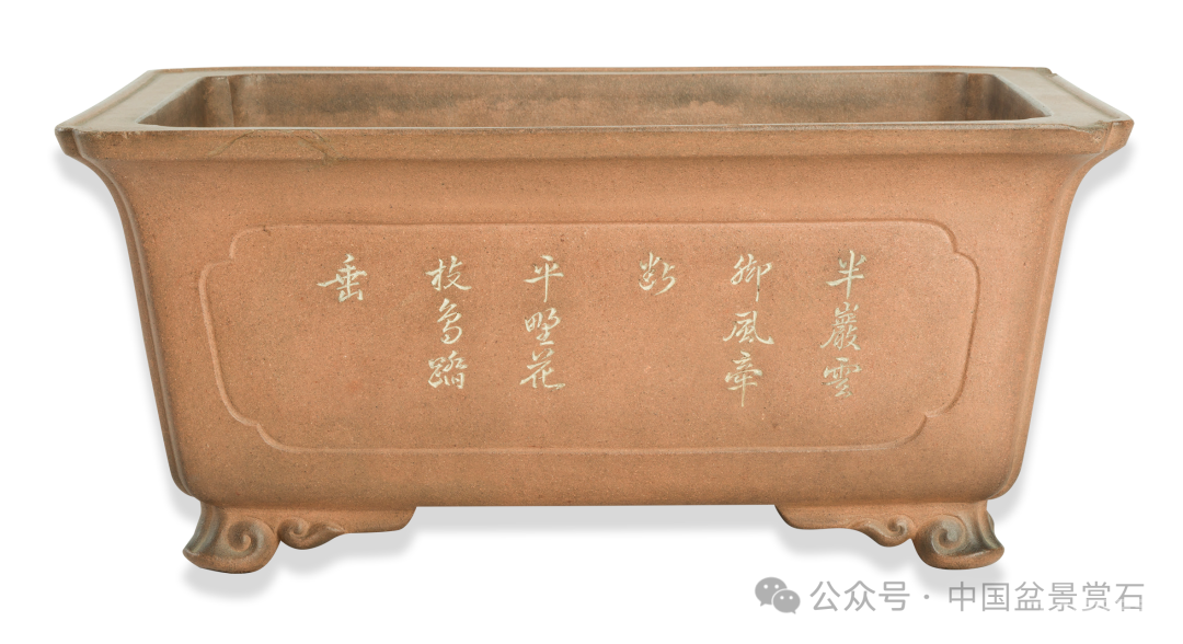 200件盆器鉴赏！古盆鉴定第一人带你玩儿转紫砂盆（二）