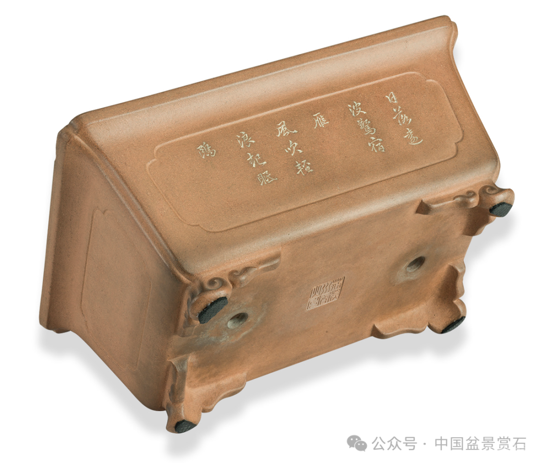 200件盆器鉴赏！古盆鉴定第一人带你玩儿转紫砂盆（二）