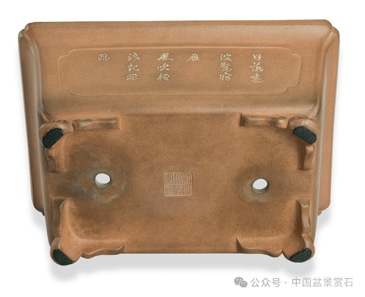 200件盆器鉴赏！古盆鉴定第一人带你玩儿转紫砂盆（二）