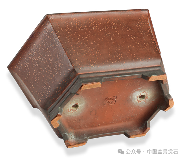 200件盆器鉴赏！古盆鉴定第一人带你玩儿转紫砂盆（二）
