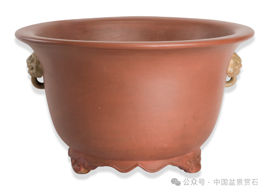 200件盆器鉴赏！古盆鉴定第一人带你玩儿转紫砂盆（二）