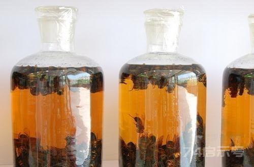 补肾壮阳酒配方大全