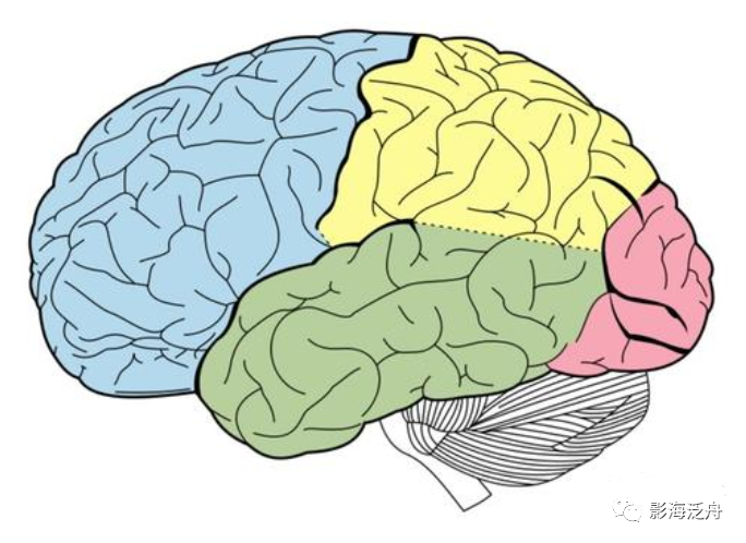 人手一册史上最详细的高清头颅MR解剖