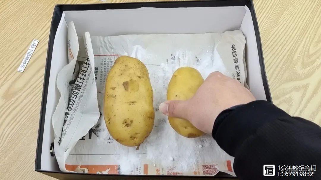 才知道，保存土豆原来这么简单，撒上一把，放一年不变绿不发芽