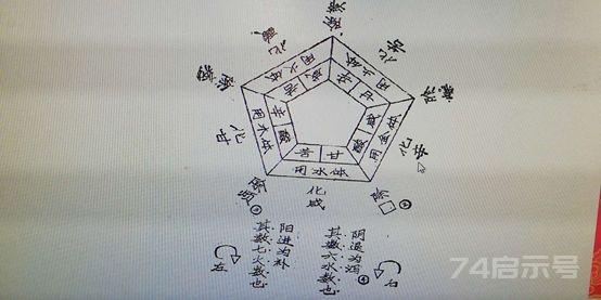 从辅行诀看柴胡桂枝干姜汤丨一则病案引发的思考