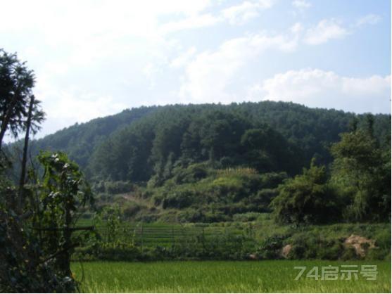 祖坟风水禁忌：血光扑坟，子孙易短寿夭亡