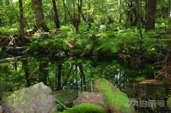 美丽中国-2776：吉林白石山国家森林公园